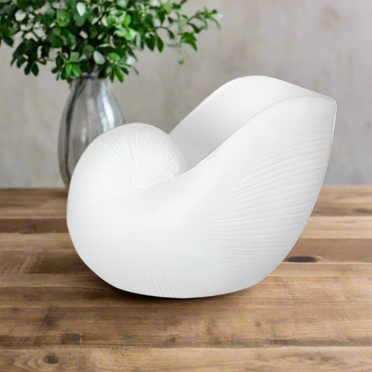 Calenna Seashell Decorative Piece