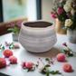 Darla Ceramic Pot