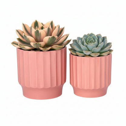 Quessara Ceramic Planter with Stand Set (Set of 2)