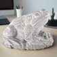 Clear plastic frog figure on a desk with office supplies in the background