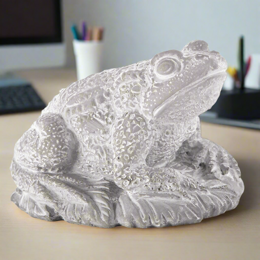 Clear plastic frog figure on a desk with office supplies in the background