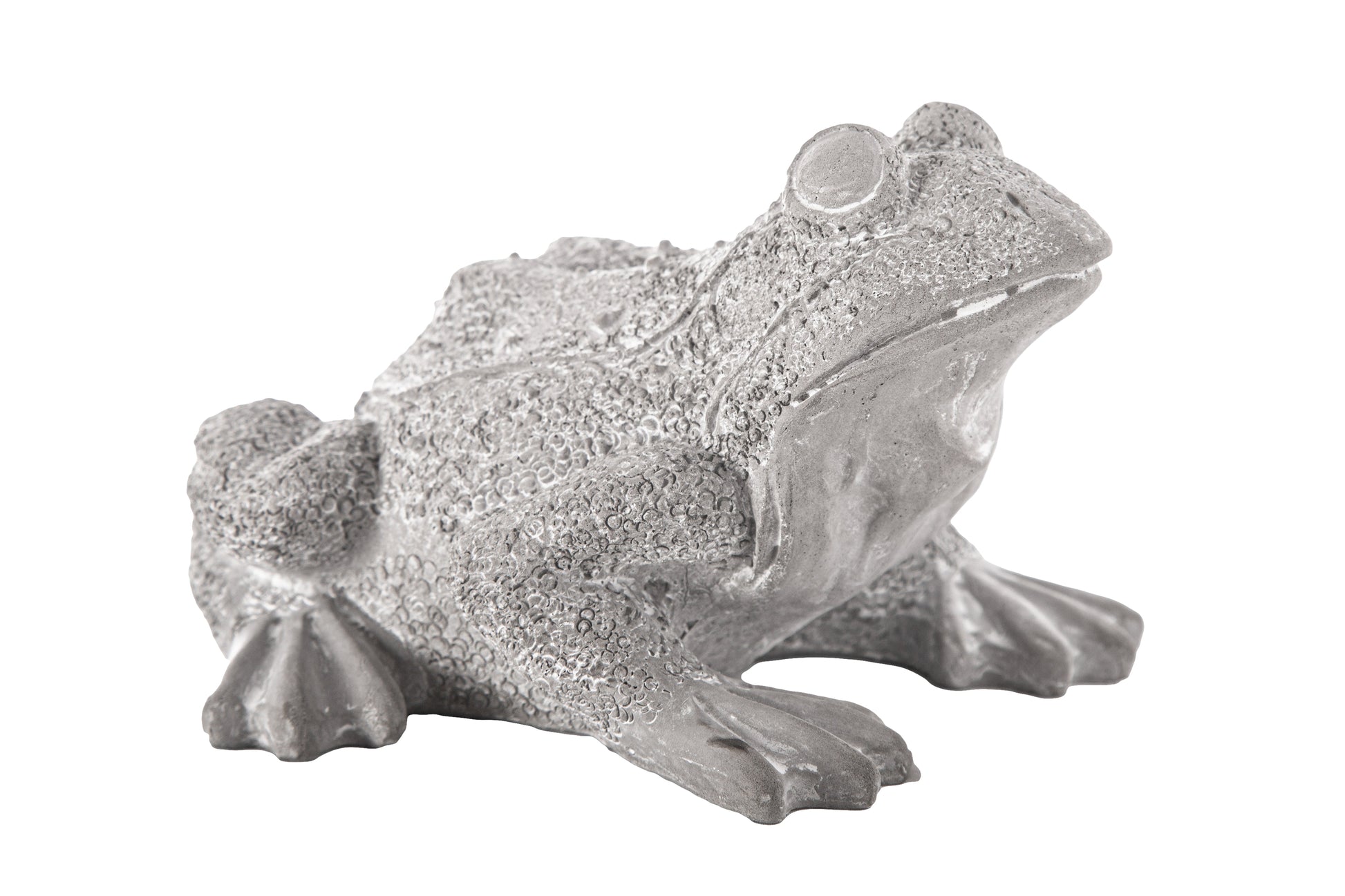 Silver frog statue on a white background