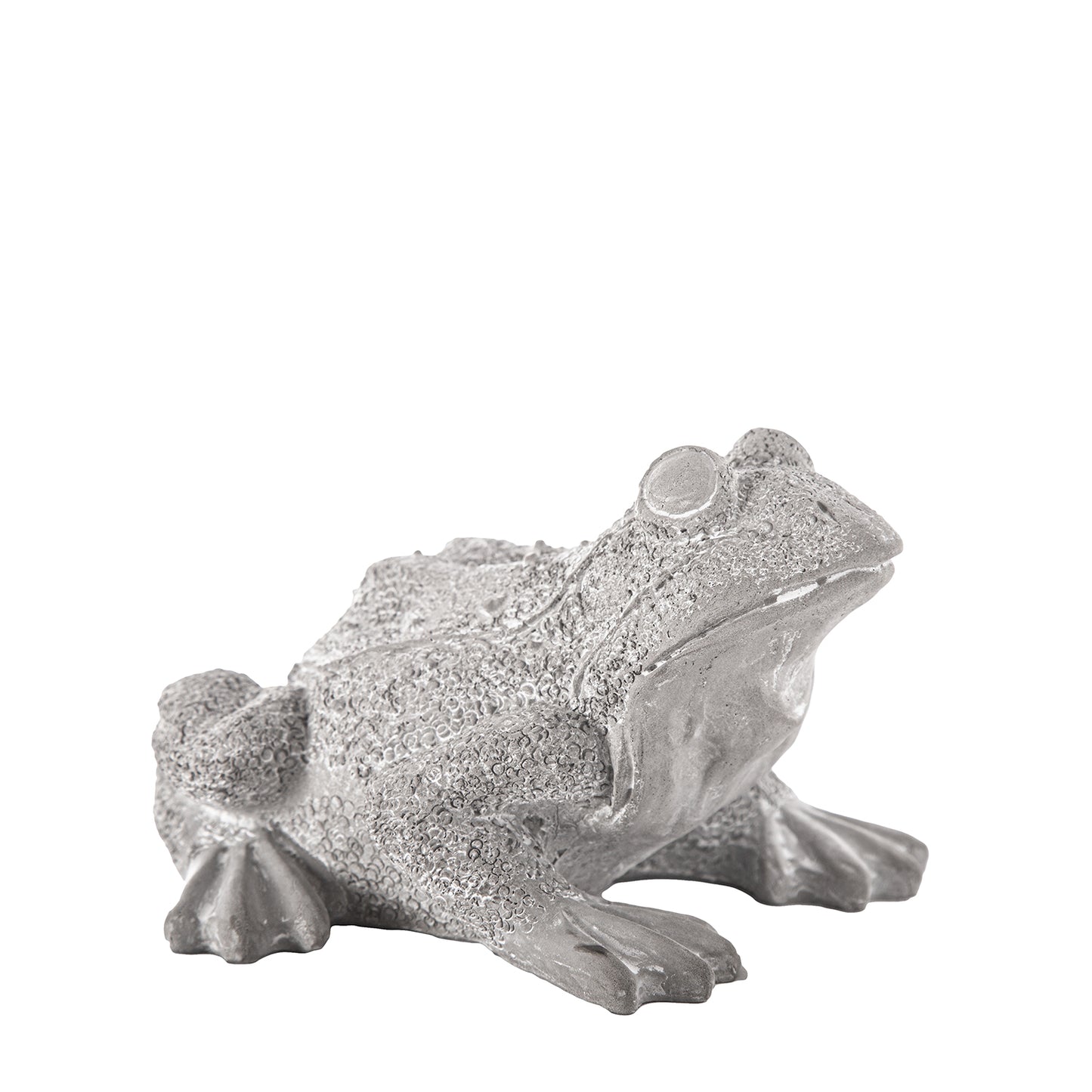 Silver frog statue on a white background