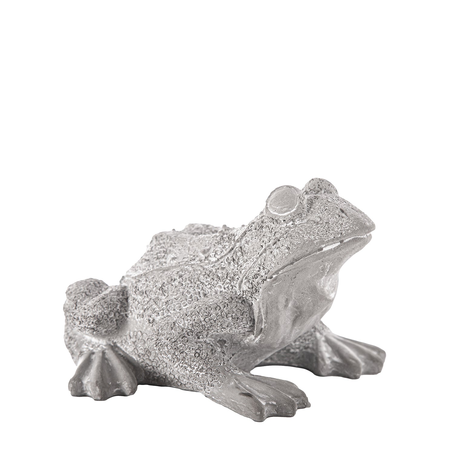Silver frog statue on a white background