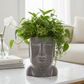 Jazlyn Cement Easter Island Head Pot