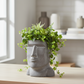 Jazlyn Cement Easter Island Head Pot