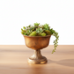A bronze-colored pedestal planter filled with green succulent plants, set on a light wood tabletop against a white background.