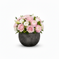 Tamara Terracotta Round Pot