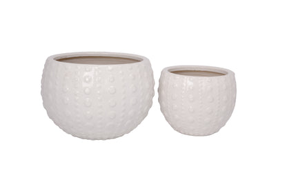 Ceramic Planter Set of Two Gloss Finish