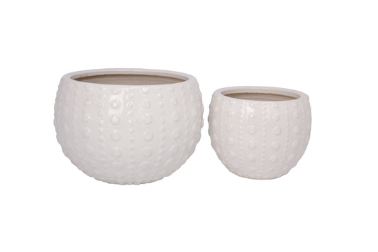 Ceramic Planter Set of Two Gloss Finish