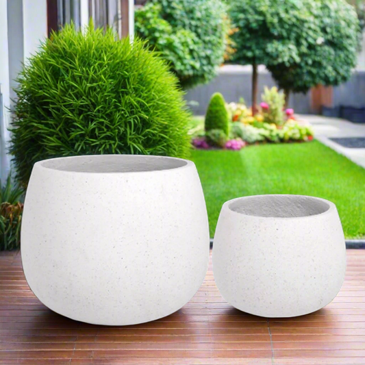 Elarien Cement Flower Pot (Set of 2)