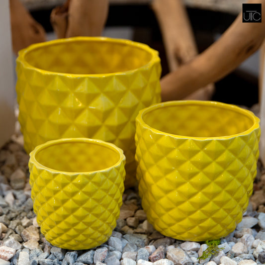Ceramic Round Pot Matte Finish