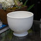 Kerry Ceramic White Pedestal Planter