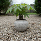 Kamilia Rustic Bell-Shaped Cement Planter