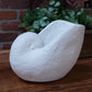 Calenna Seashell Decorative Piece