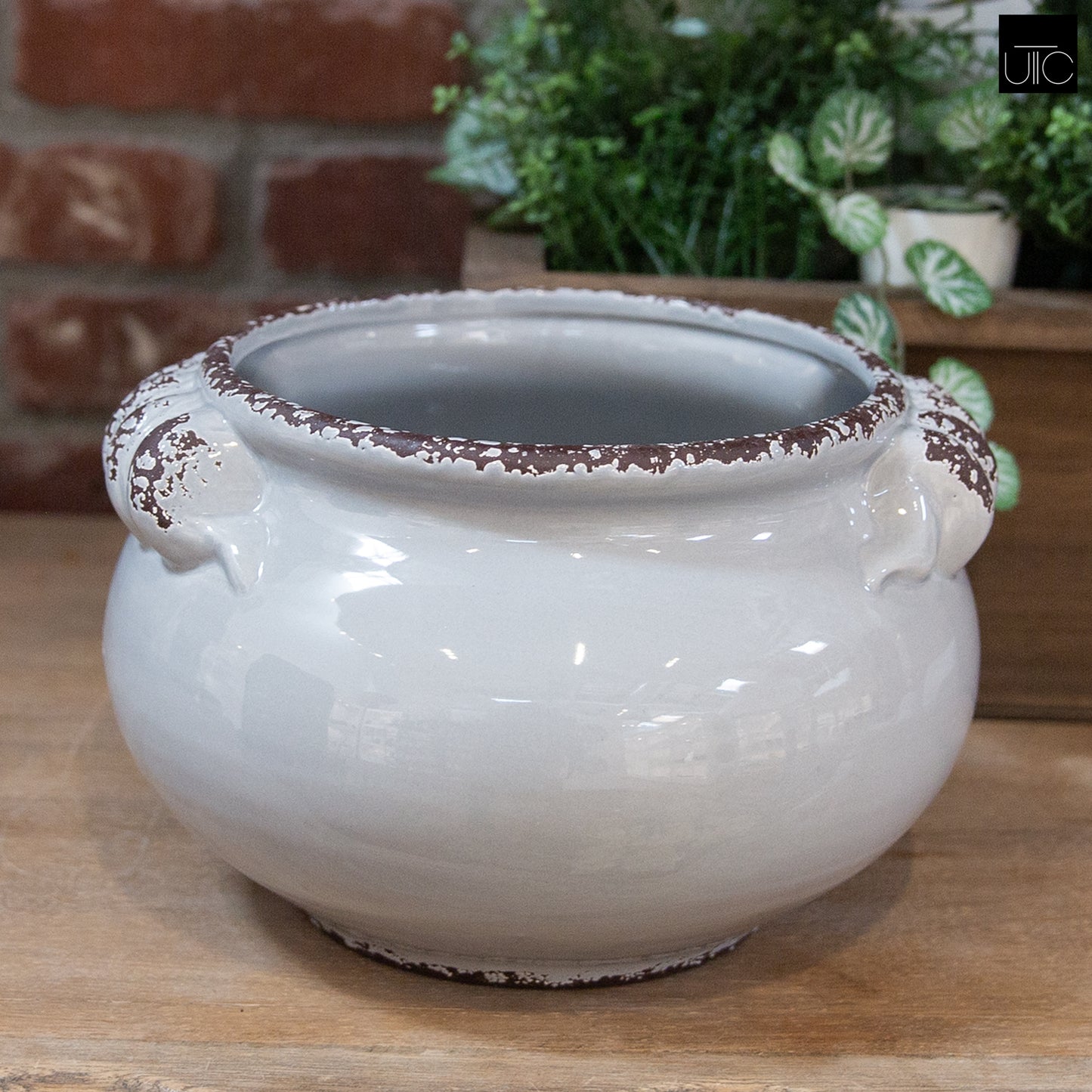 Ceramic Pot Gloss Finish Gray 6.25"H