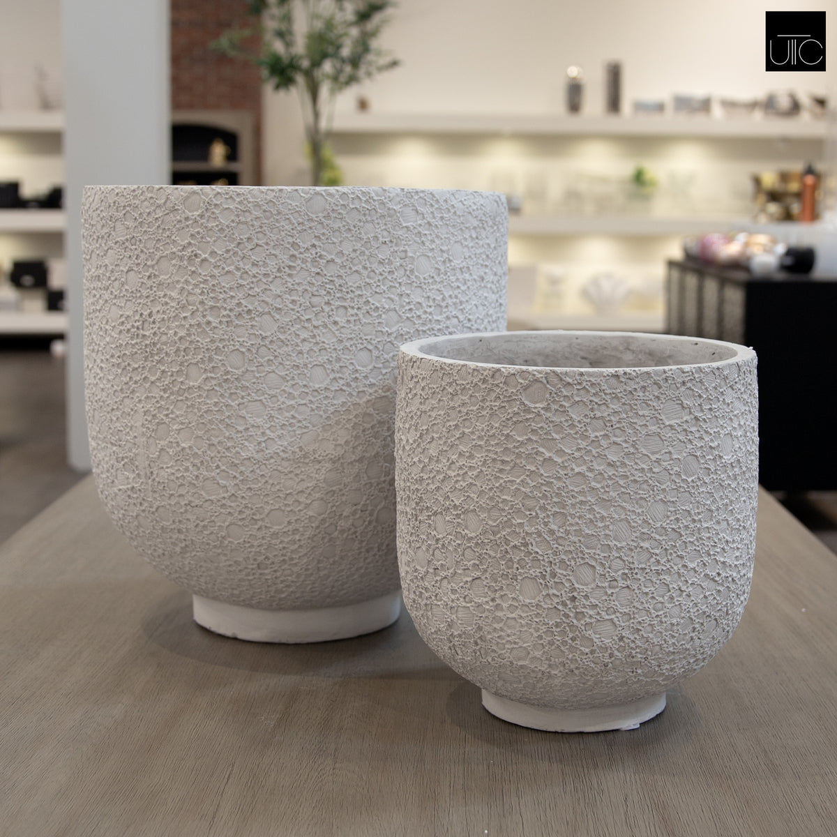 Irina Cylinder Planters with Pedestal Base (Set of 2)