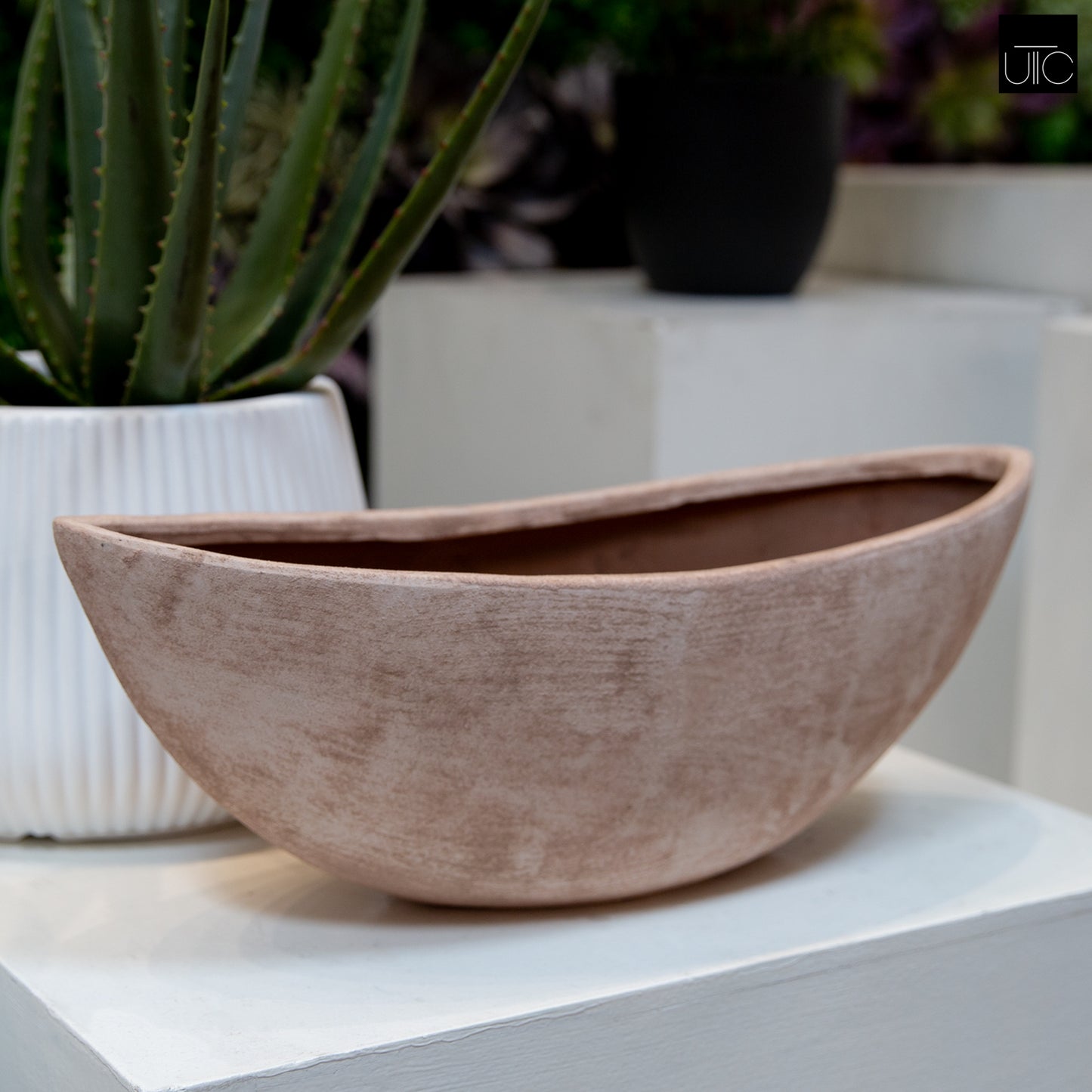 Quenra Lotus Root Planter