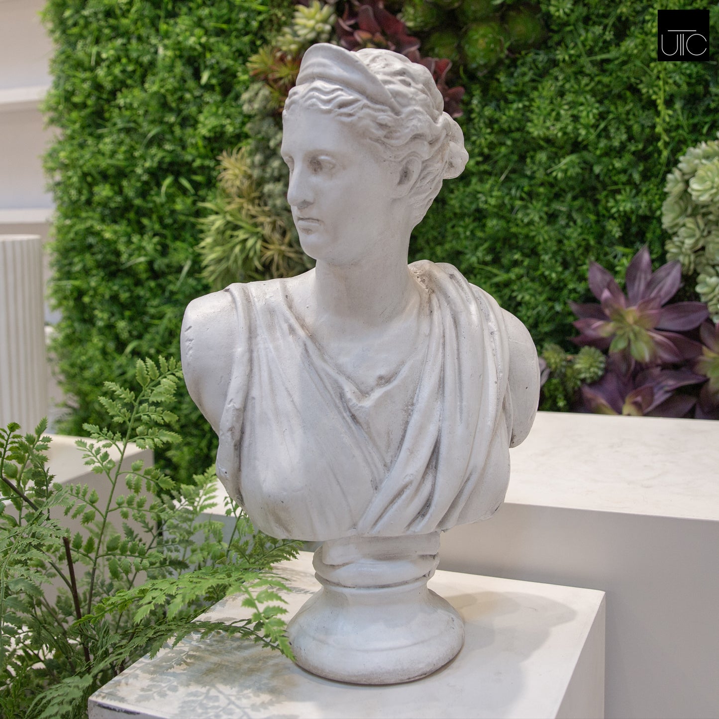 Venus Fiberglass Bust Sculpture