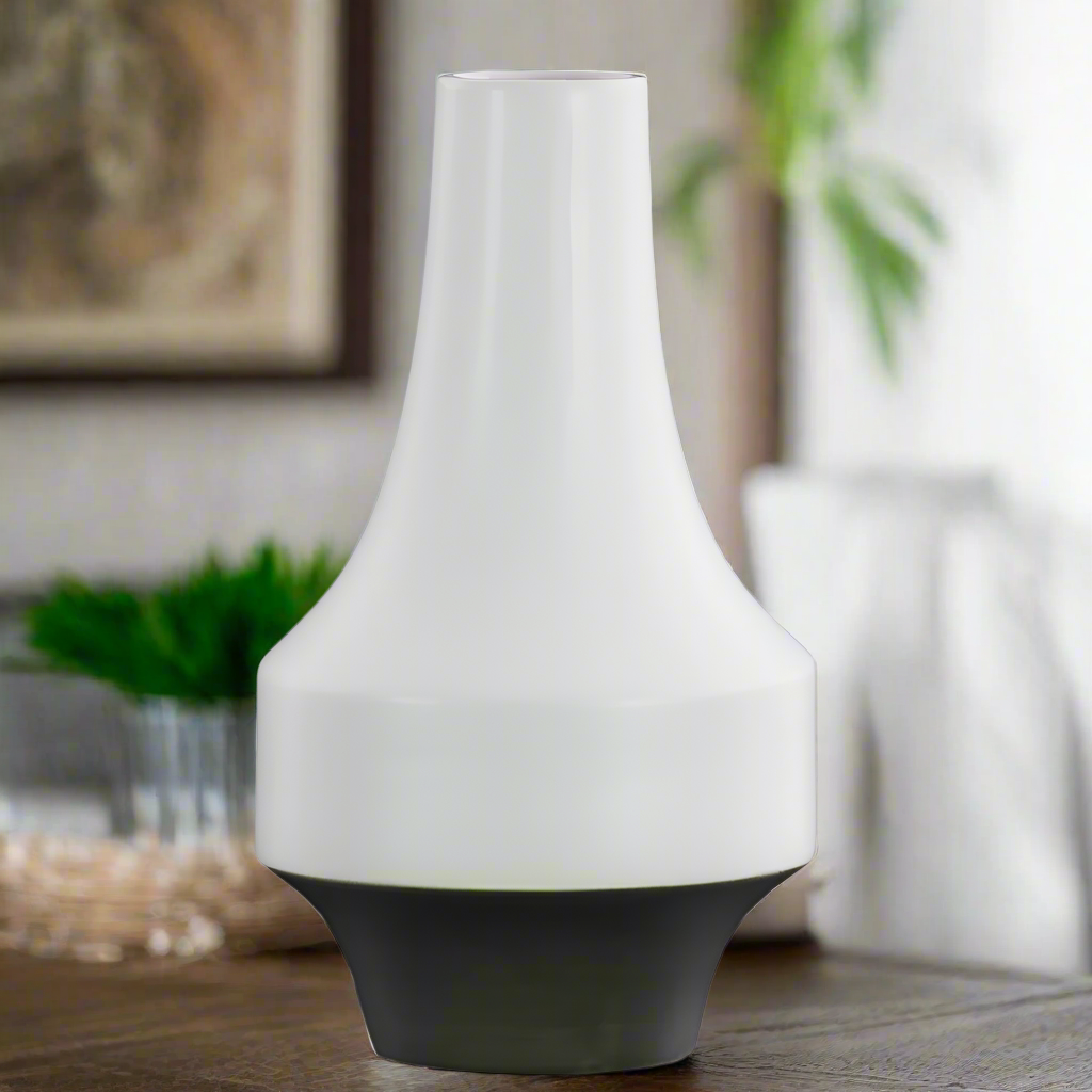 Delric Long Neck Ceramic Vase