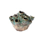 A ceramic cluster organic vase with a distressed finish and a banded tapered bottom, in moss green color.