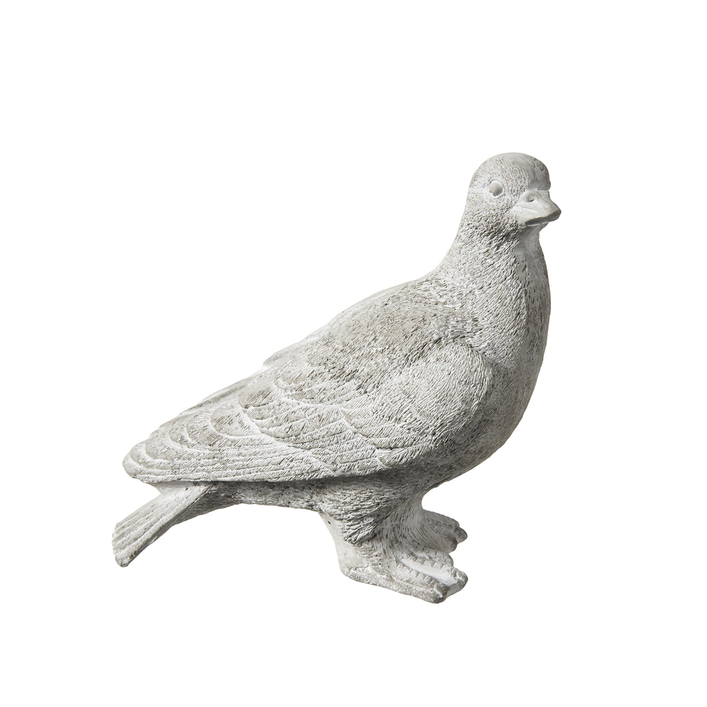 Zaria Cement Standing Pigeon Figurine Facing Right