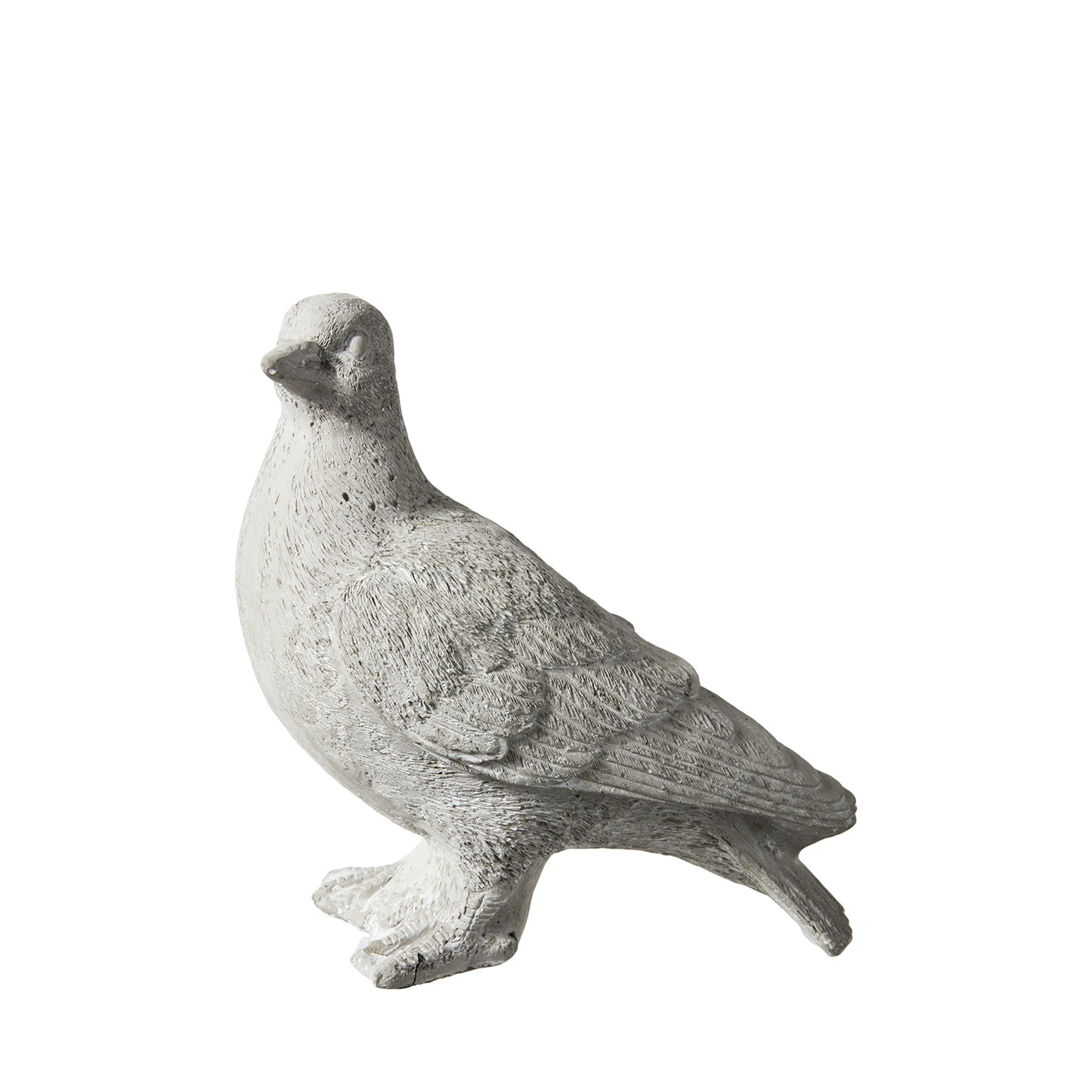 Sallie Cement Standing Pigeon Figurine