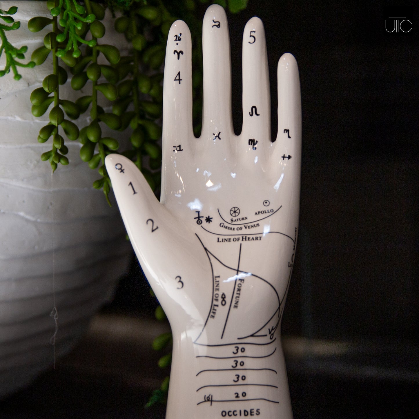 Kismet Ceramic Palmistry Hand Decor