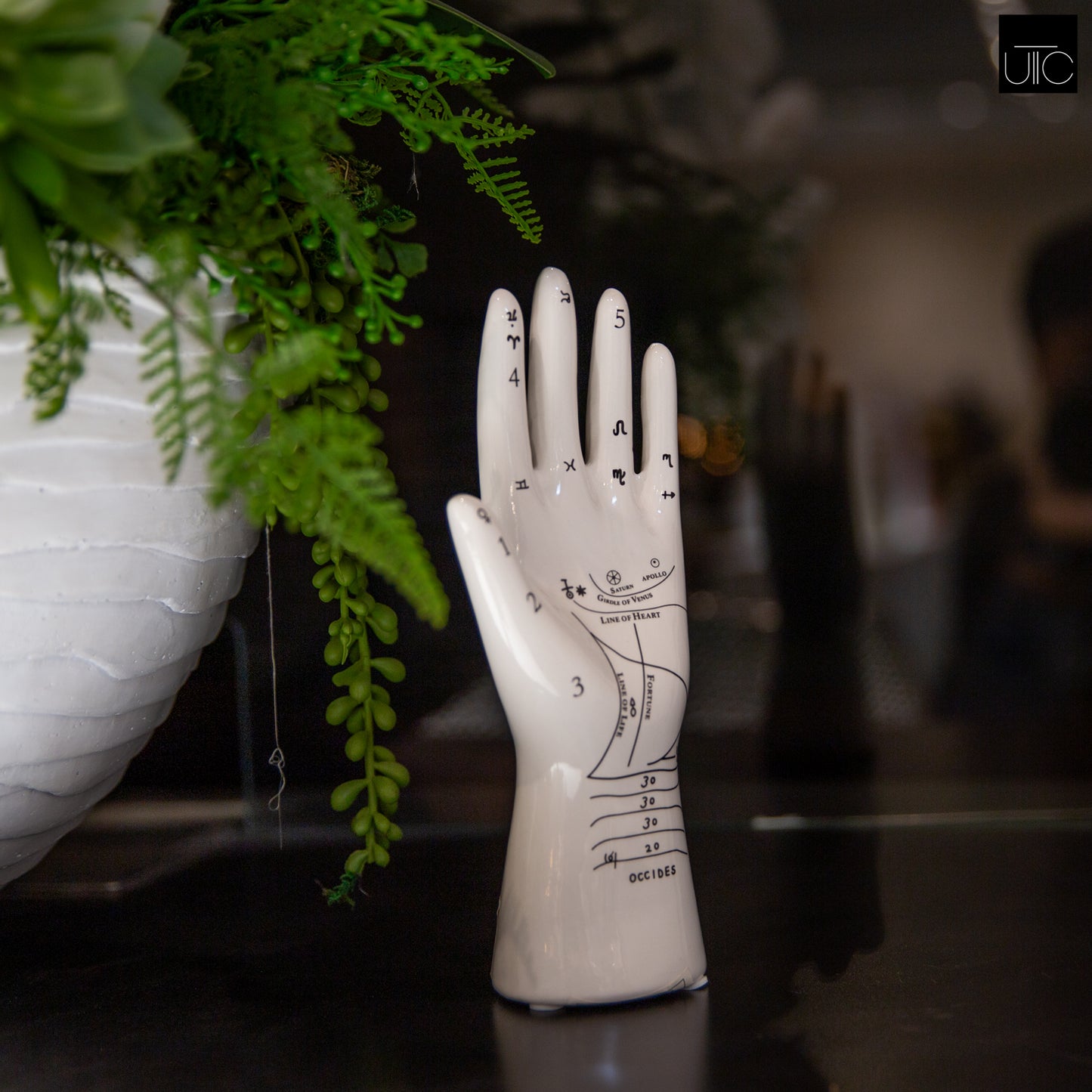 Kismet Ceramic Palmistry Hand Decor