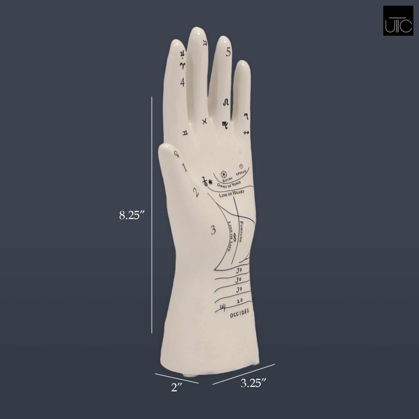 Kismet Ceramic Palmistry Hand Decor