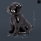 Ceramic Sitting British Bulldog Figurine with Collar Gloss