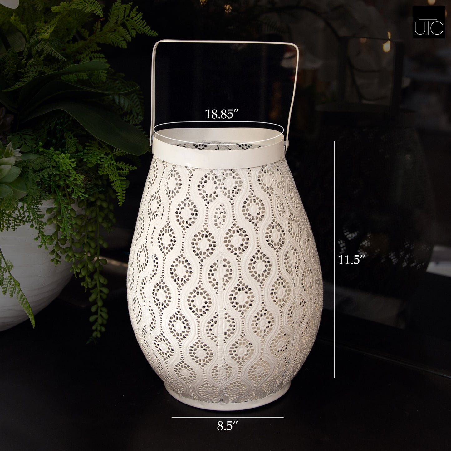 Luneth Curled Pinhole Bellied Lantern