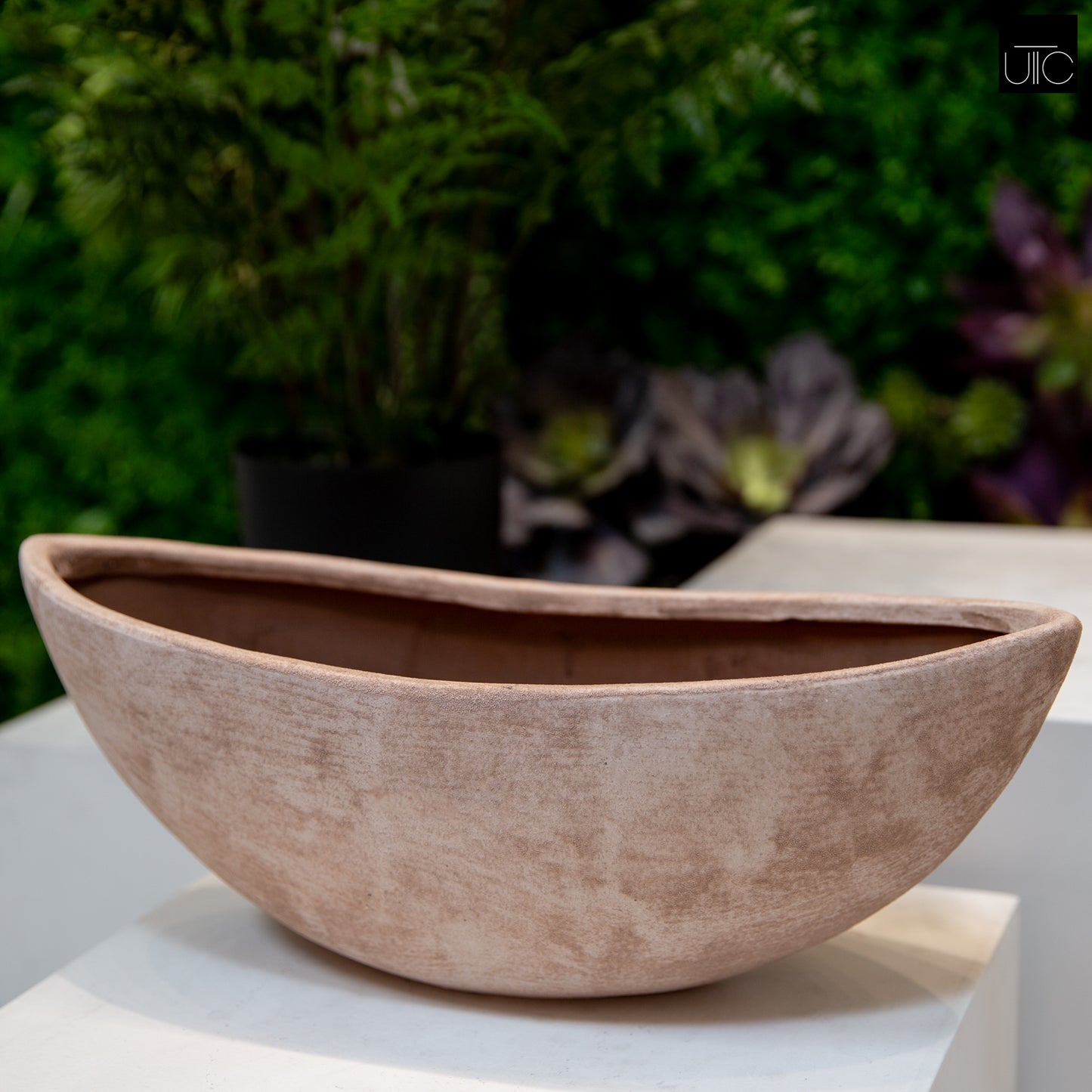 Quenra Lotus Root Planter