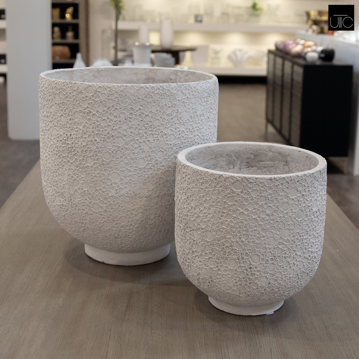 Irina Cylinder Planters with Pedestal Base (Set of 2)