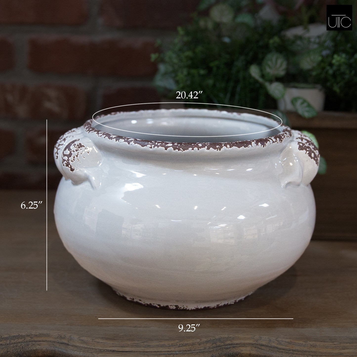Ceramic Pot Gloss Finish Gray 6.25"H