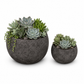 Tamara Terracotta Round Pot