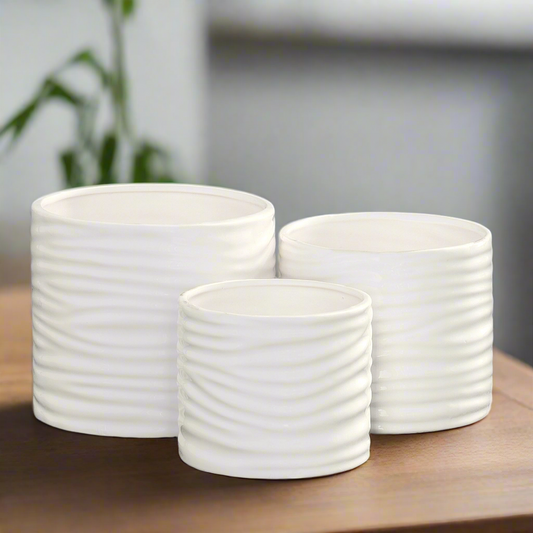 Three white ceramic planters of different sizes on a wooden surface with a blurred indoor background.