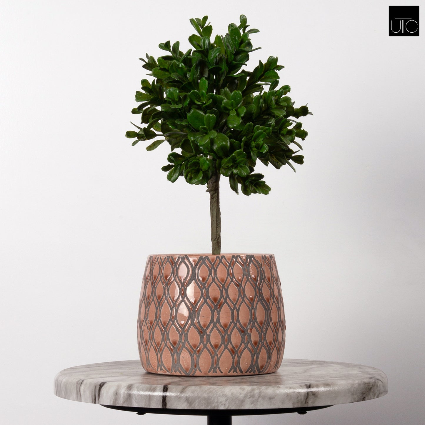 Terracotta Round Pot Gloss Finish Apricot