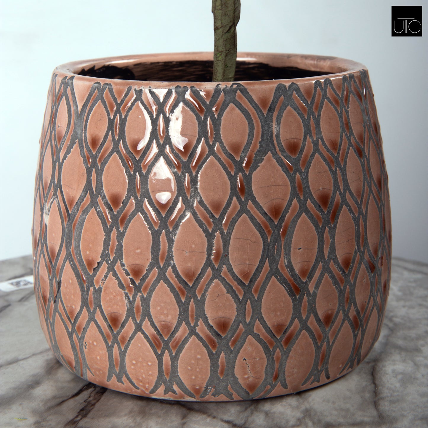 Terracotta Round Pot Gloss Finish Apricot