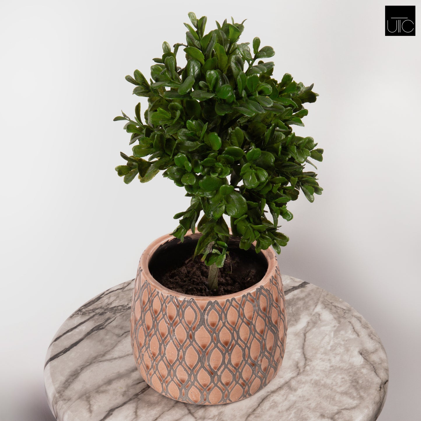 Terracotta Round Pot Gloss Finish Apricot