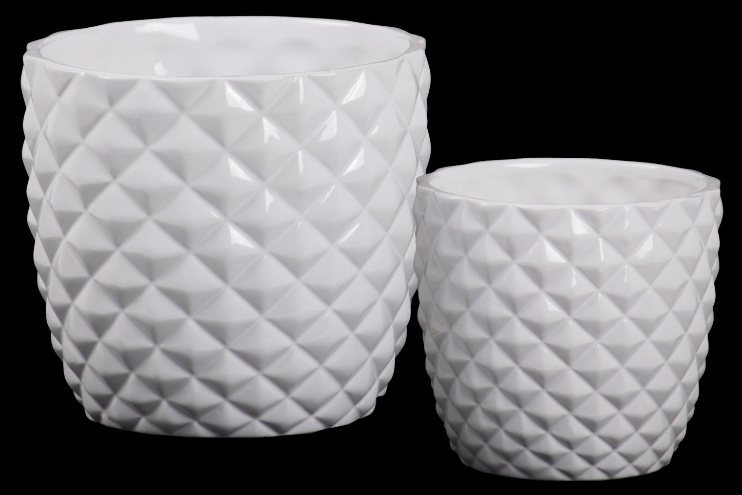 Ceramic Pot Gloss Finish