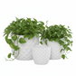 Tizze Diamond Planter Set (Set of 3)