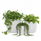 Tizze Diamond Planter Set (Set of 3)