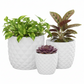 Tizze Diamond Planter Set (Set of 3)