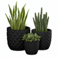 Tizze Diamond Planter Set (Set of 3)
