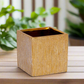 Poppy Ceramic Brushed Golden Square Pot