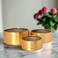 Aurion Brushed Gold Planter Set (Set of 3)