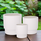 Qyrelle Ceramic Planter Set (Set of 3)