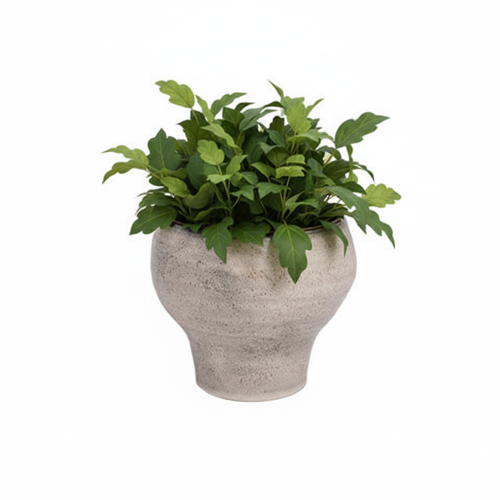 Grevelle Rounded Ceramic Vase