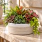 Abril Round Squat Planter Bowl
